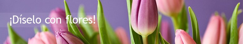 Savvy trends handbags